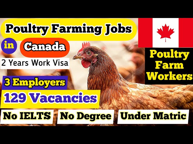 LMIA-Approved Poultry Worker Jobs in Canada 2025